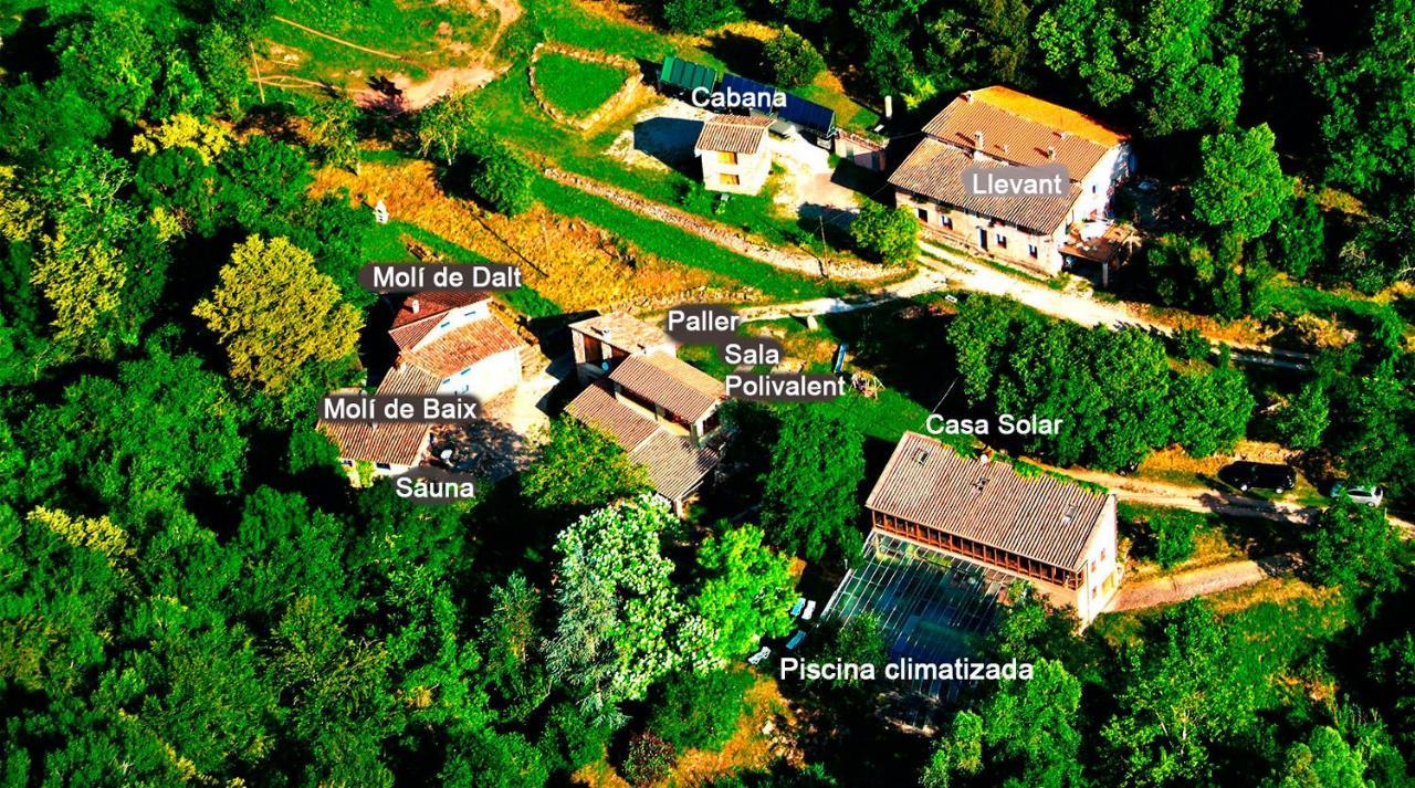 La Cabana Del Moli De La Plana Riudaura Ngoại thất bức ảnh