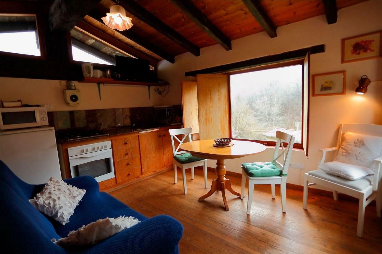 La Cabana Del Moli De La Plana Riudaura Ngoại thất bức ảnh