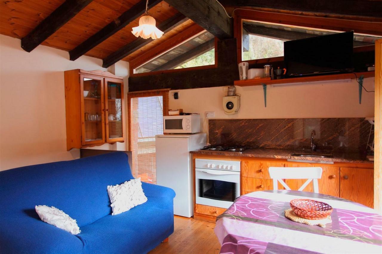 La Cabana Del Moli De La Plana Riudaura Ngoại thất bức ảnh