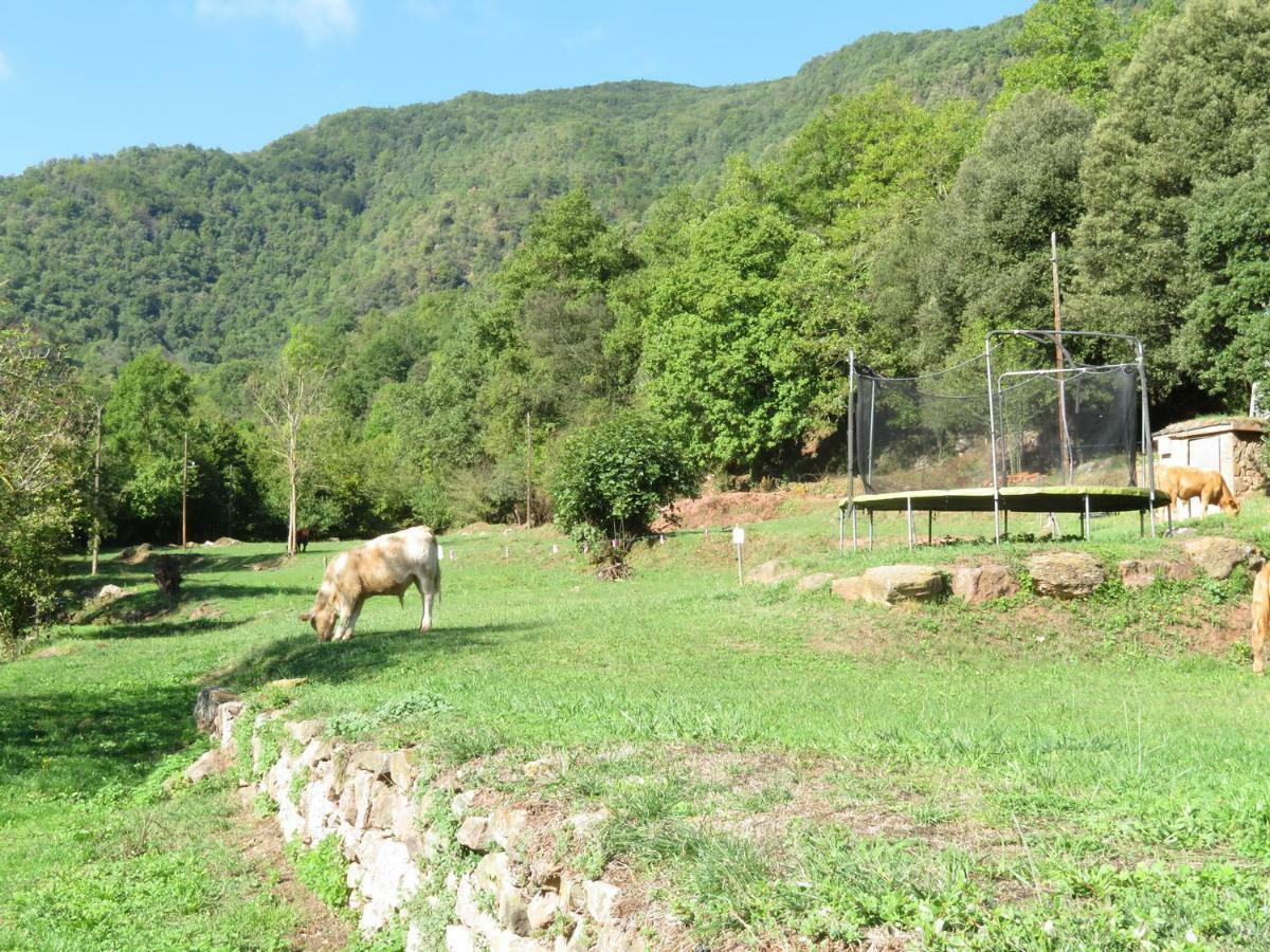 La Cabana Del Moli De La Plana Riudaura Ngoại thất bức ảnh